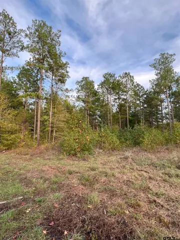 $920,000 | 161 South Hughes Springs, Hughes Springs, TX 75656