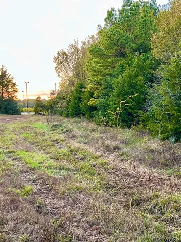 $920,000 | 161 South Hughes Springs, Hughes Springs, TX 75656