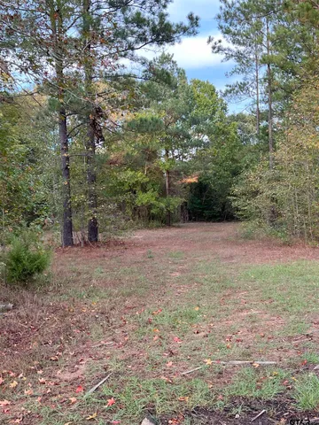 $920,000 | 161 South Hughes Springs, Hughes Springs, TX 75656