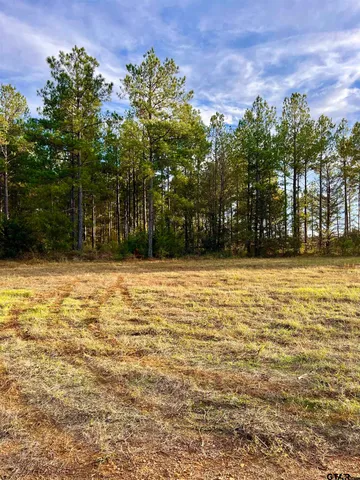 $920,000 | 161 South Hughes Springs, Hughes Springs, TX 75656