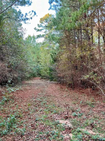 $920,000 | 161 South Hughes Springs, Hughes Springs, TX 75656