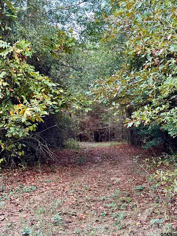 $920,000 | 161 South Hughes Springs, Hughes Springs, TX 75656