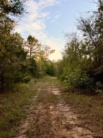 $920,000 | 161 South Hughes Springs, Hughes Springs, TX 75656