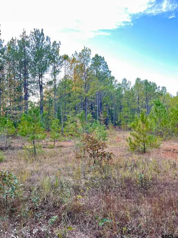 $920,000 | 161 South Hughes Springs, Hughes Springs, TX 75656