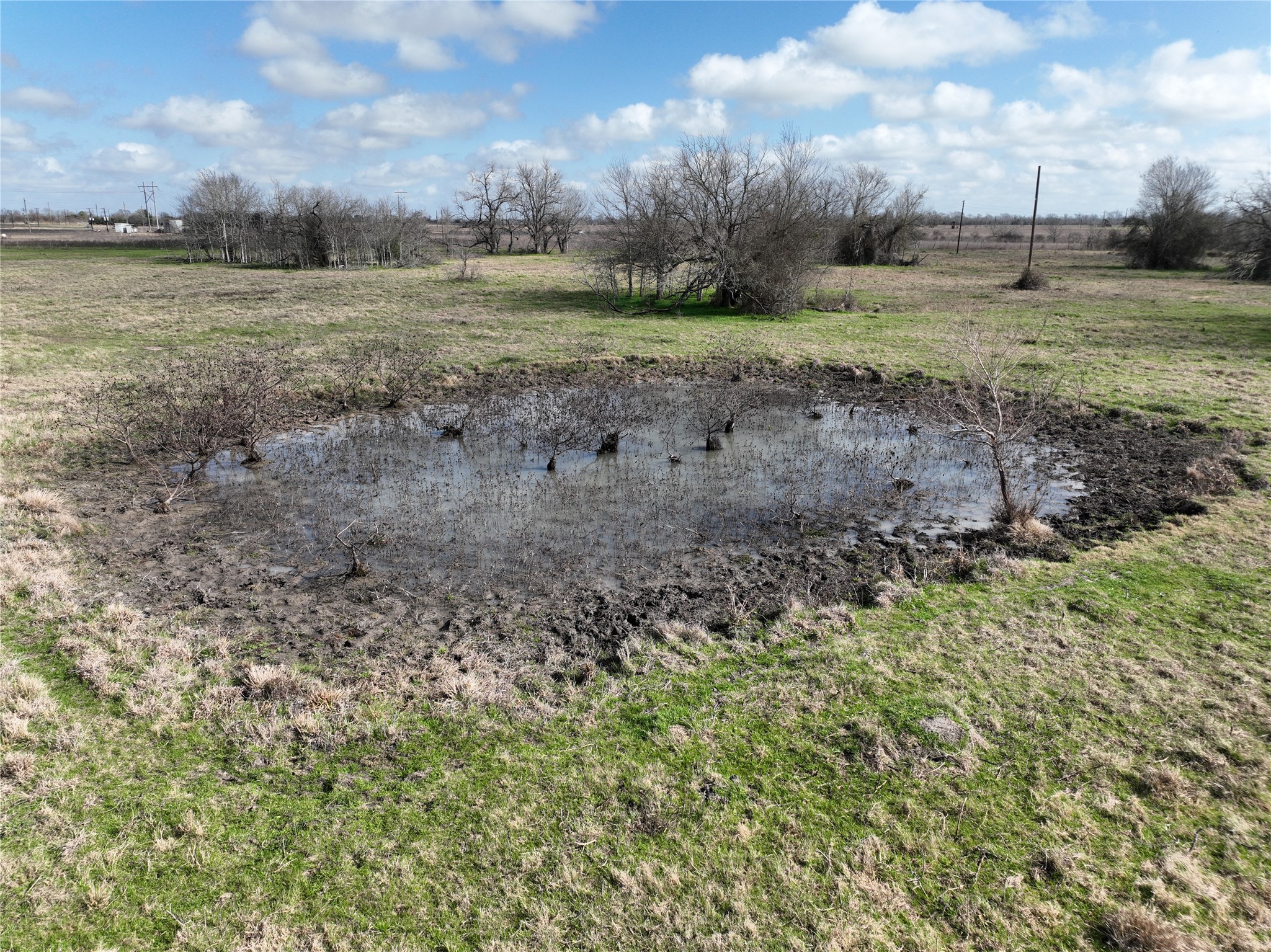 0 Fm 331 Bellville, TX 77418 - Photo 17 of 43