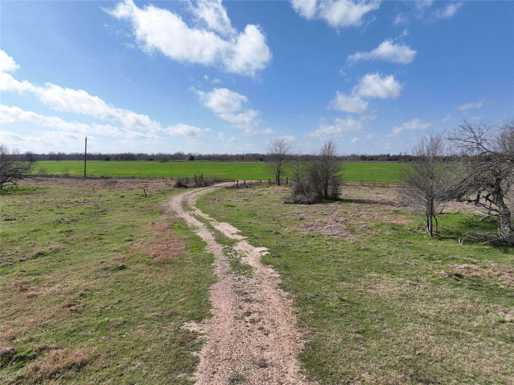 0 Fm 331 Bellville, TX 77418 - Photo 18 of 43