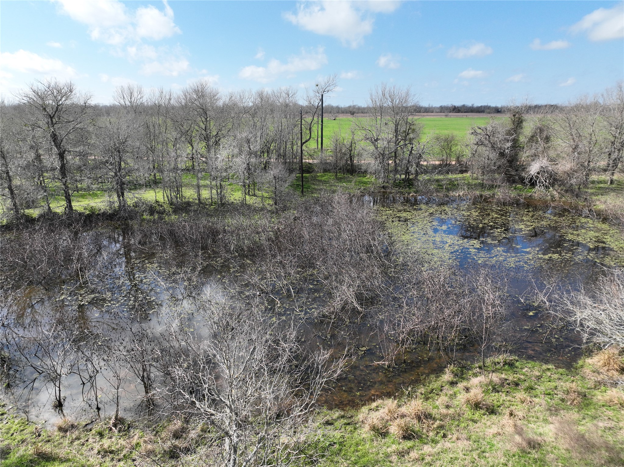 0 Fm 331 Bellville, TX 77418 - Photo 22 of 43