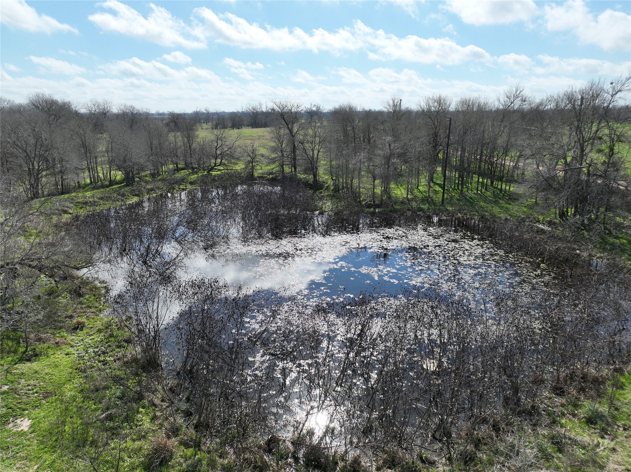 0 Fm 331 Bellville, TX 77418 - Photo 23 of 43
