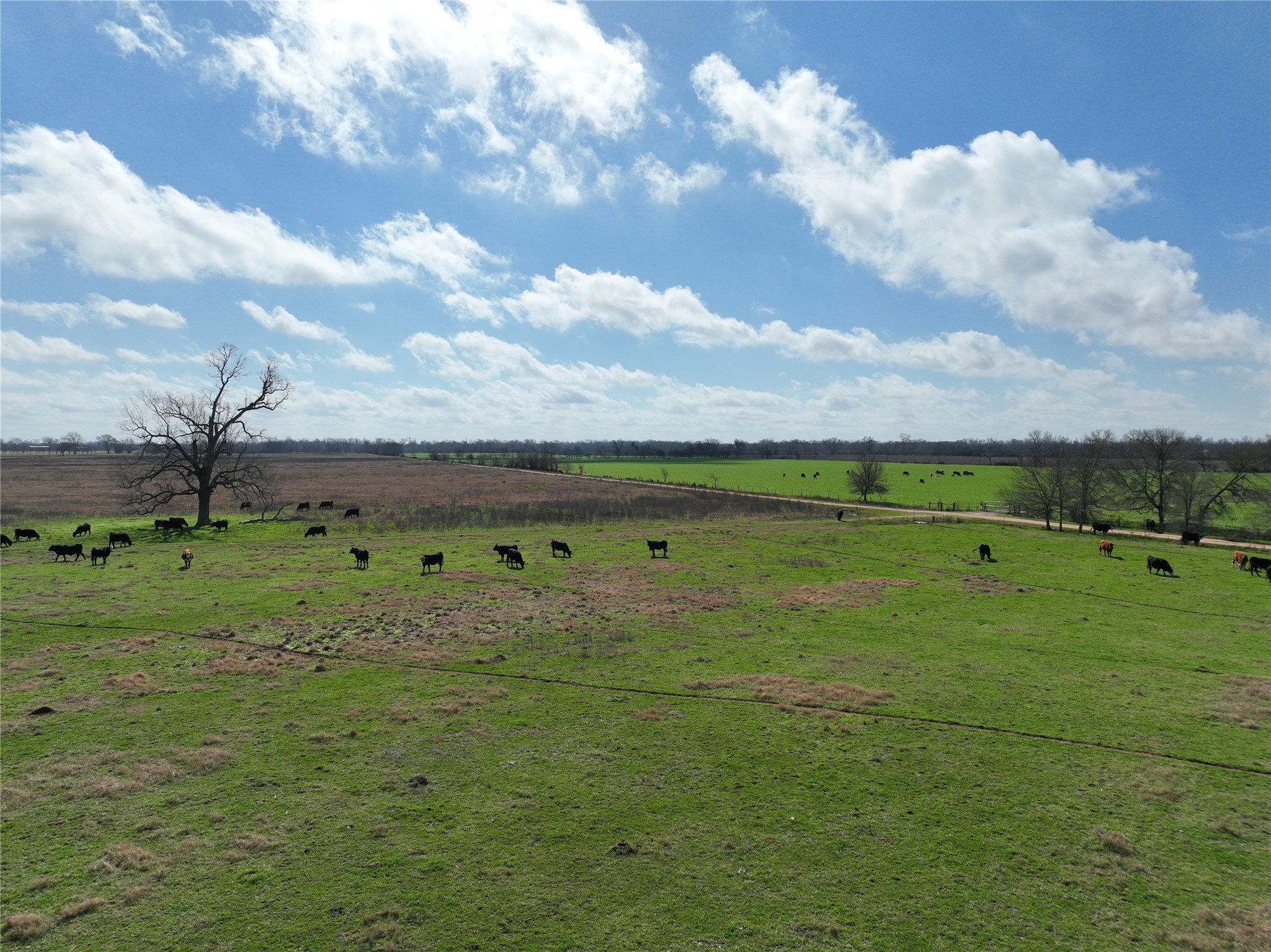 0 Fm 331 Bellville, TX 77418 - Photo 27 of 43