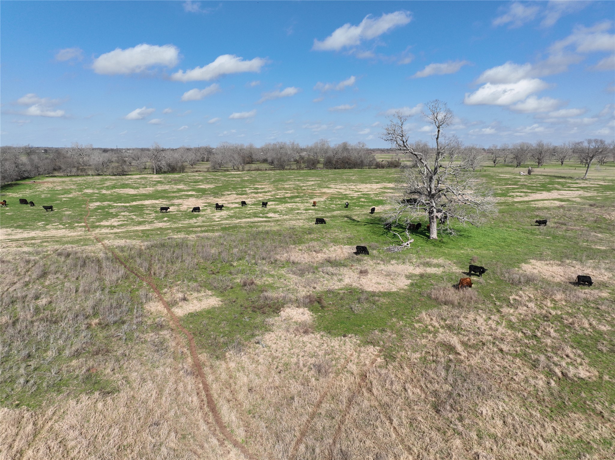 0 Fm 331 Bellville, TX 77418 - Photo 28 of 43