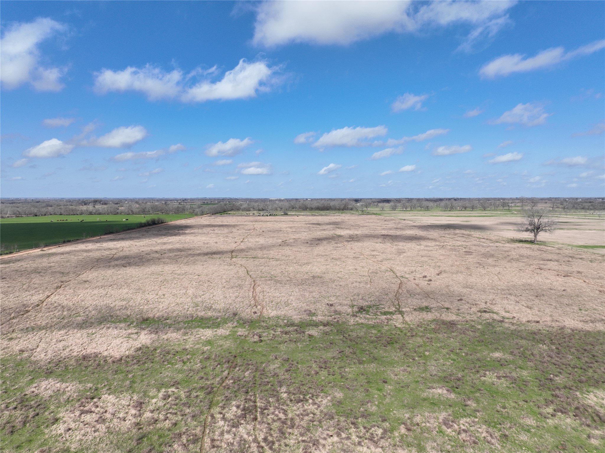 0 Fm 331 Bellville, TX 77418 - Photo 31 of 43