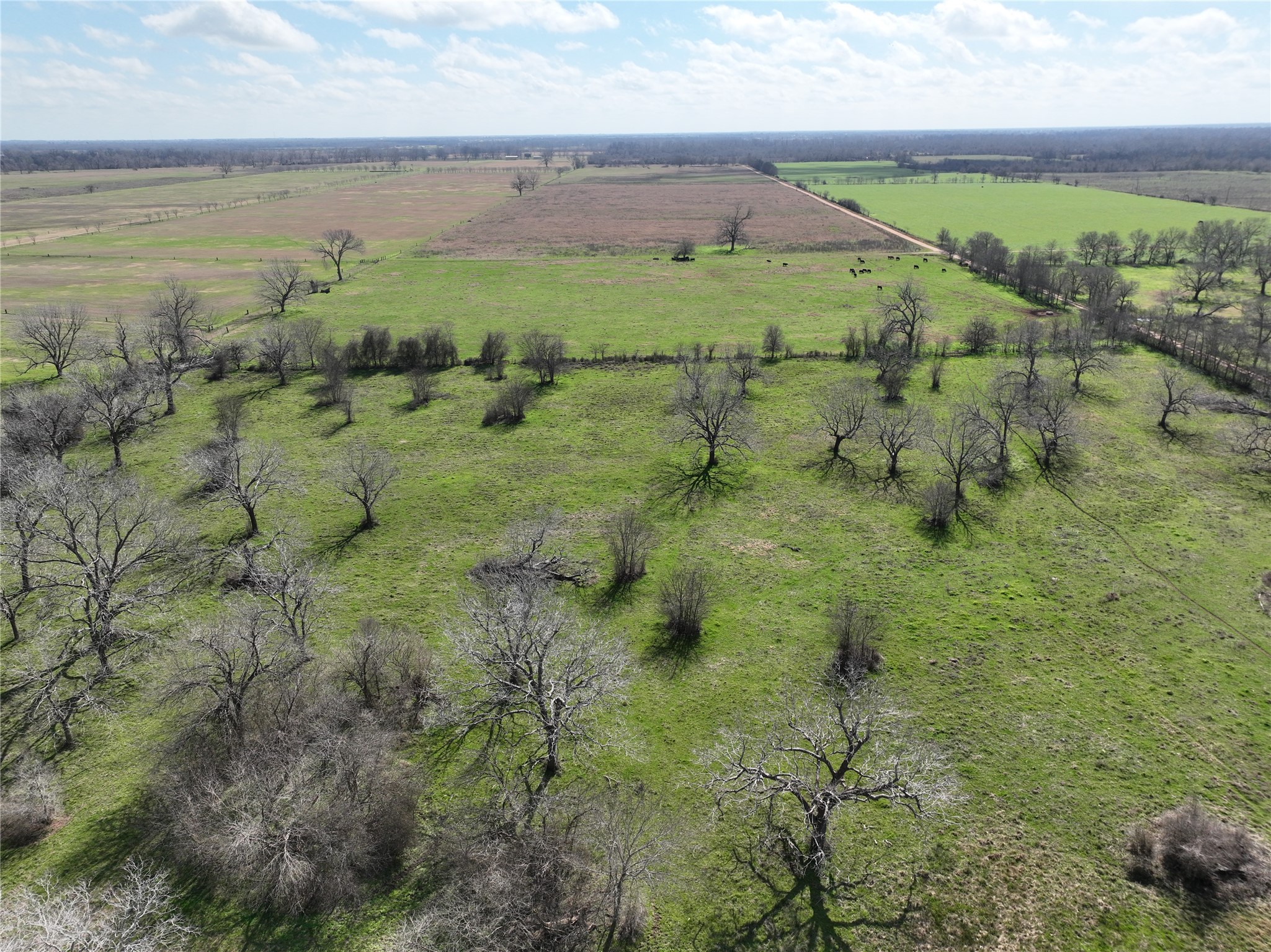 0 Fm 331 Bellville, TX 77418 - Photo 36 of 43