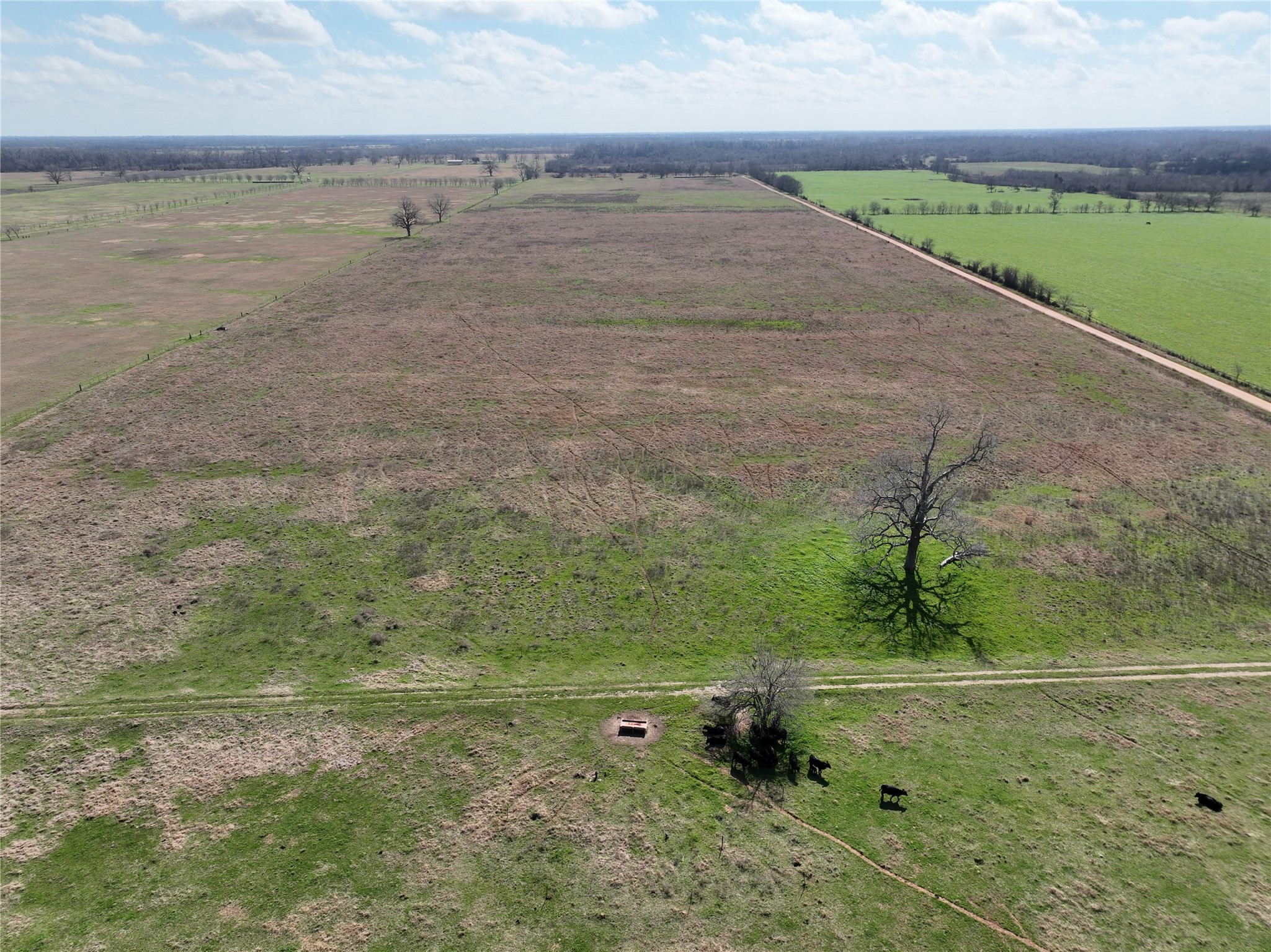 0 Fm 331 Bellville, TX 77418 - Photo 39 of 43