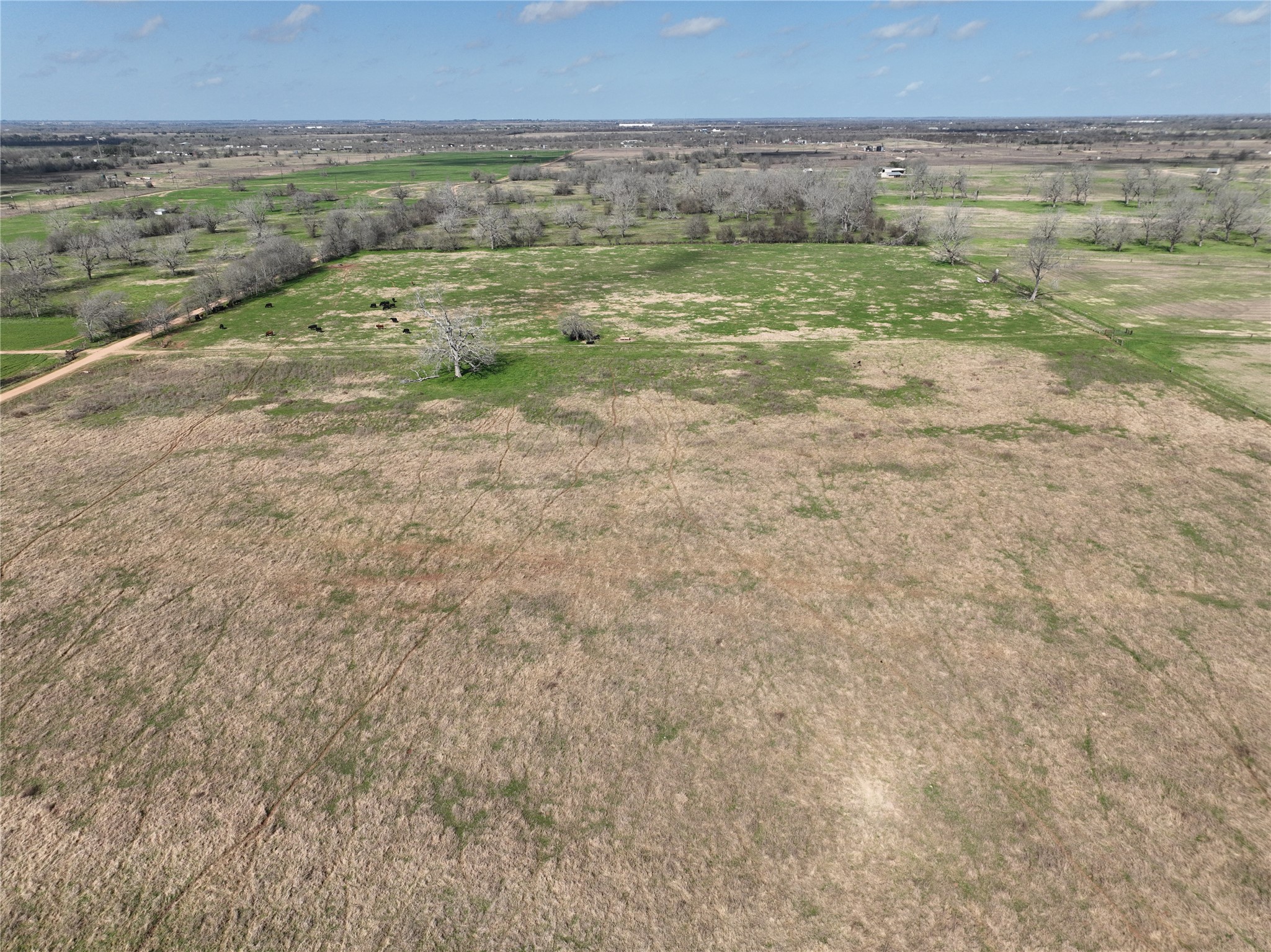 0 Fm 331 Bellville, TX 77418 - Photo 41 of 43