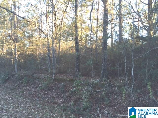 0 Ben Stewart Road Bay Minette, AL 36507 - Photo 2 of 5
