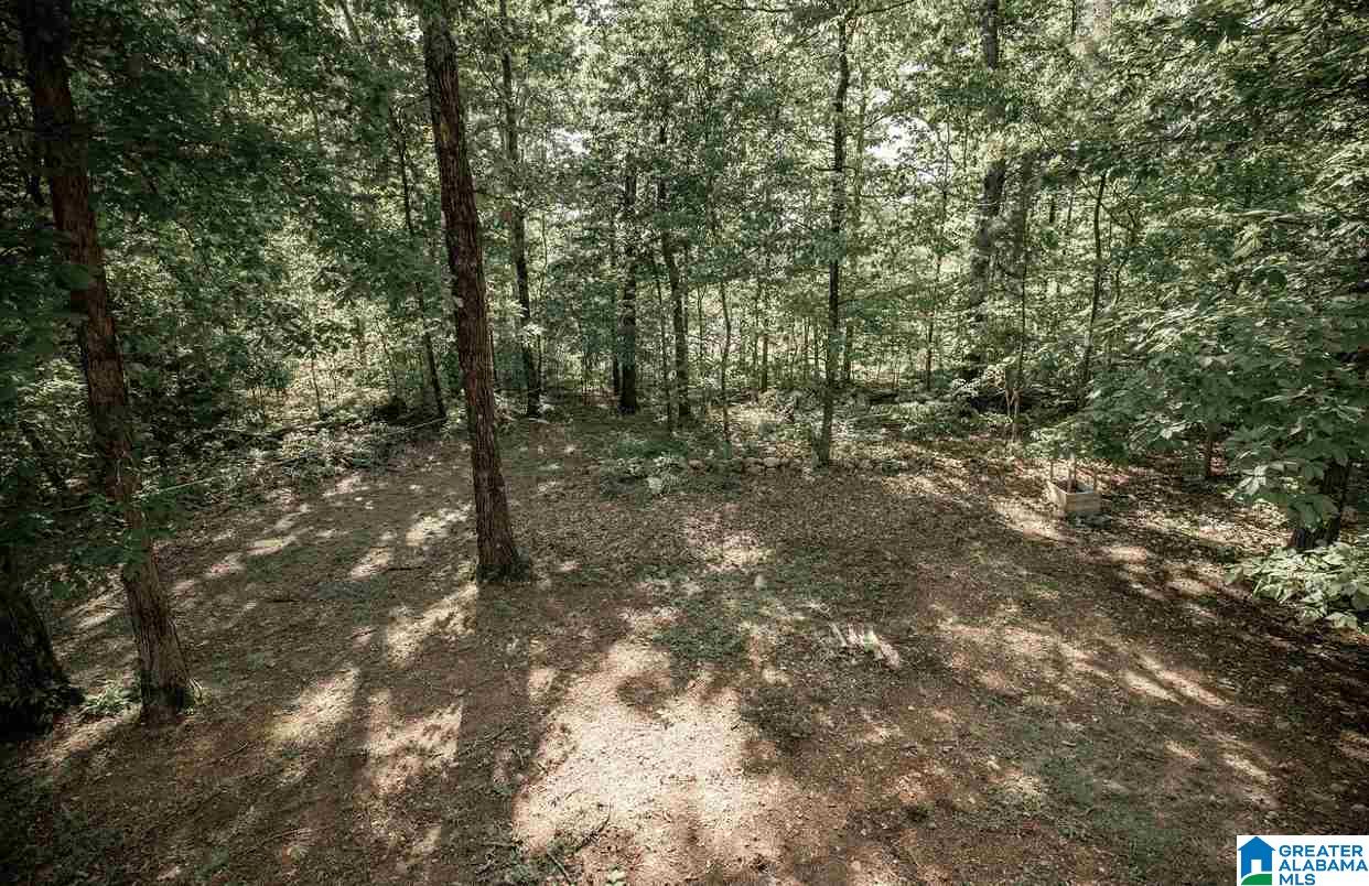 181 Pats Way Springville, AL 35146 - Photo 25 of 25 Gallery Image 25