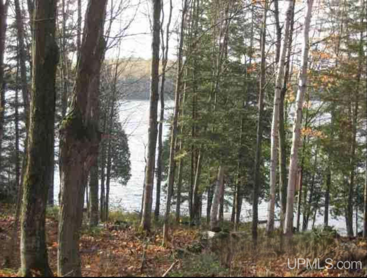 Lot 7 Fence Lake Road Republic, MI 49879 - Photo 4 of 21