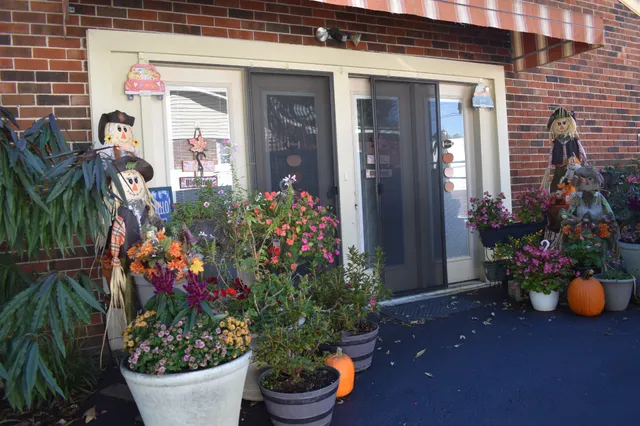 a bunch of flowers in front of the house