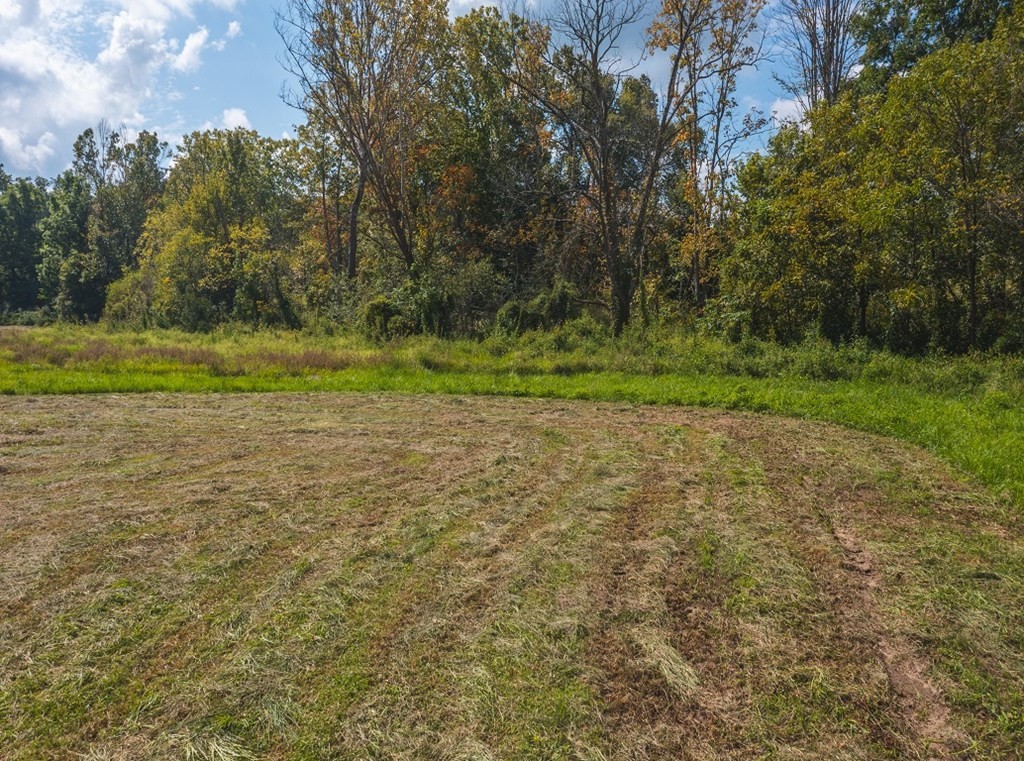 24 Coffey Lane Rutledge, TN 37861 - Photo 14 of 35