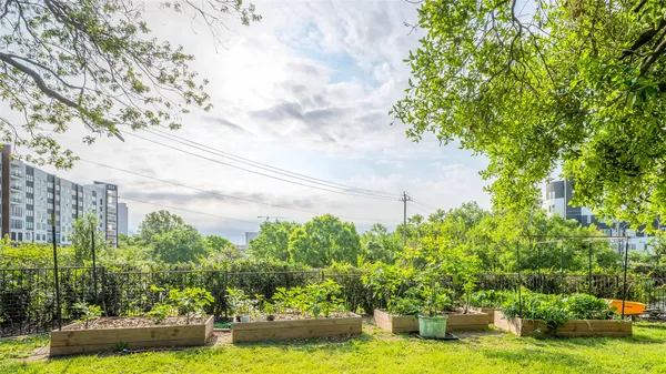 a view of a garden with large trees