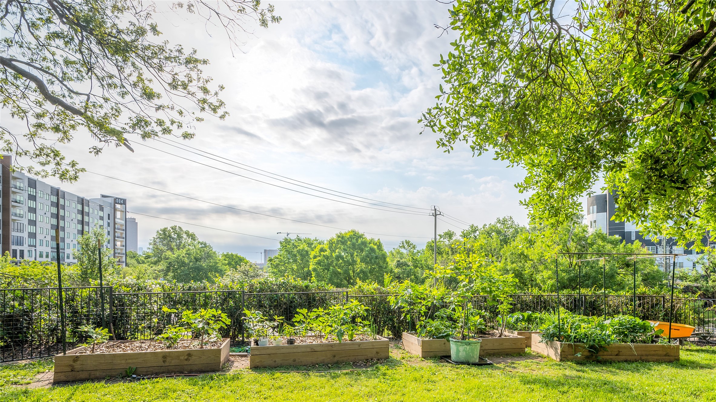 5222 Memorial Drive, Unit 5222 Houston, TX 77007 - Photo 21 of 32 a view of a garden with large trees
