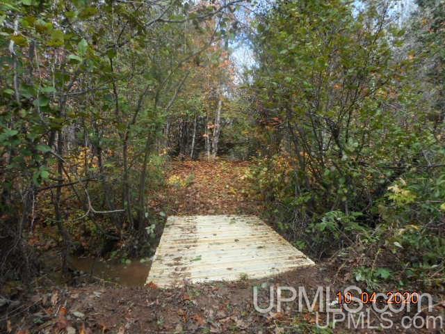 28662 South Wasas Road Mass City, MI 49948 - Photo 7 of 13