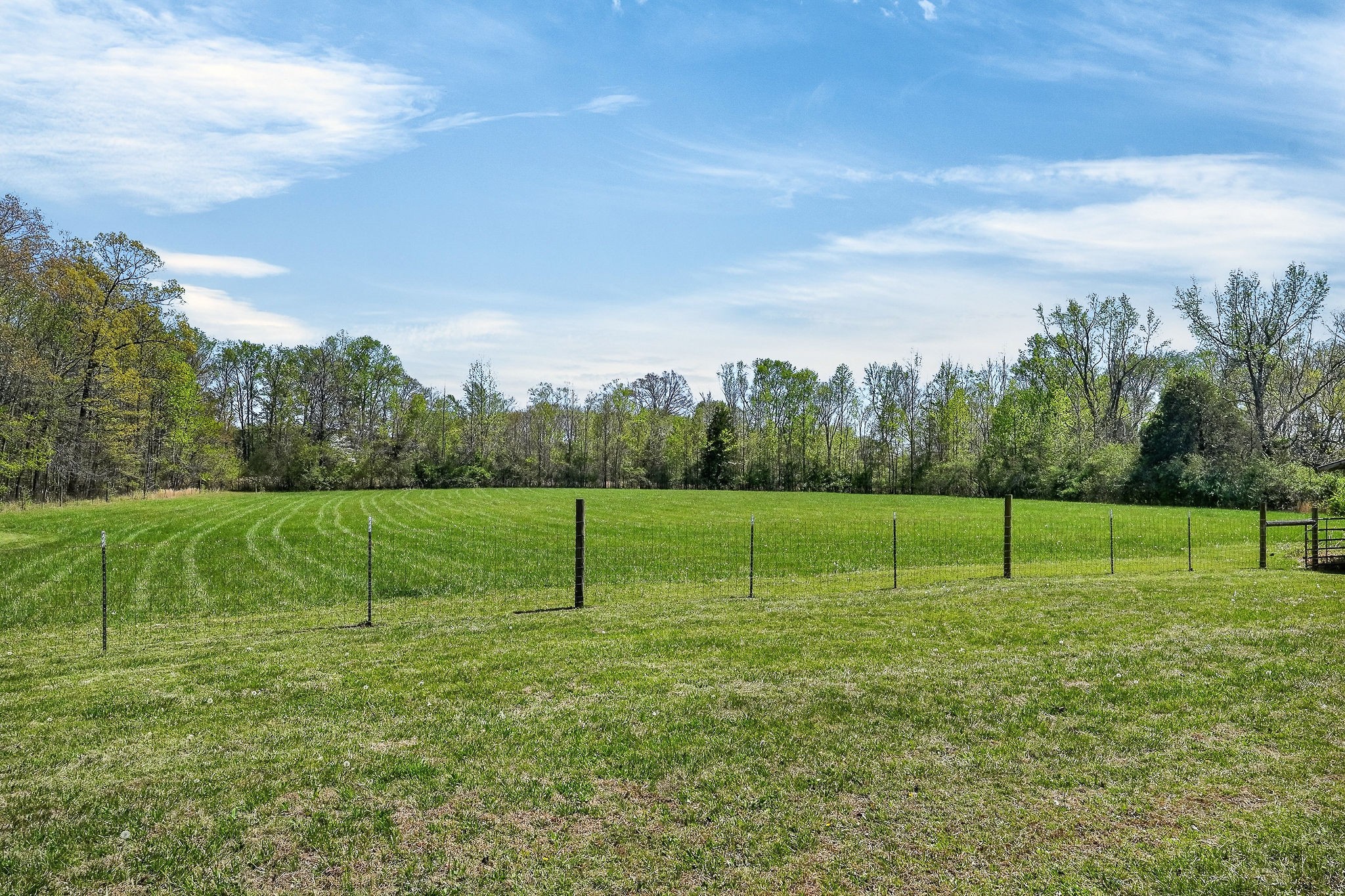 302 Ligon Street Baxter, TN 38544 - Photo 65 of 68 a view of outdoor space with green field and trees