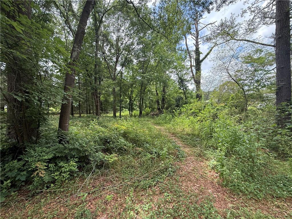 726 Old Rome Road Aragon, GA 30104 - Photo 22 of 30