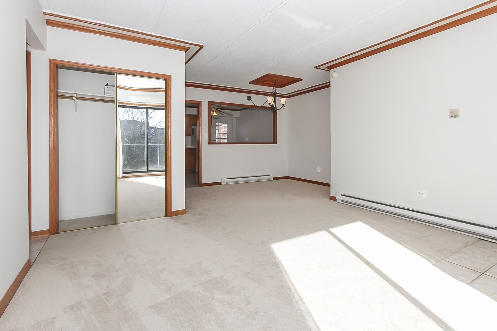 966 North Rohlwing Road, Unit 201A Addison, IL 60101 - Photo 13 of 24