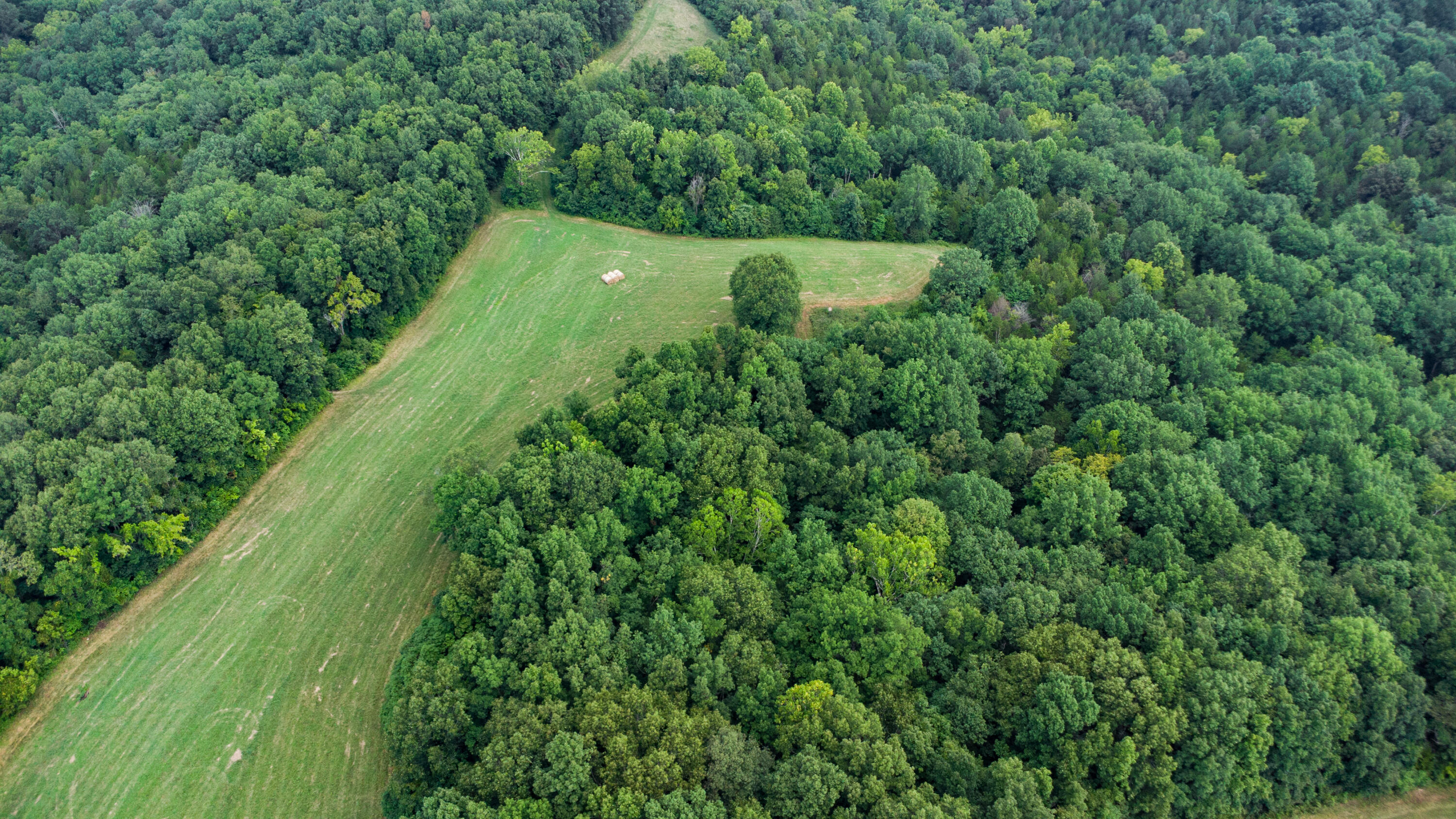 4095 Warsaw Road Dry Ridge, KY 41035 - Photo 9 of 48