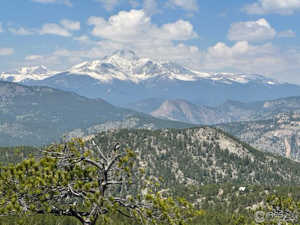3957 Conifer Hill Road Lyons, CO 80540 - Photo 11 of 12 Longs Peak