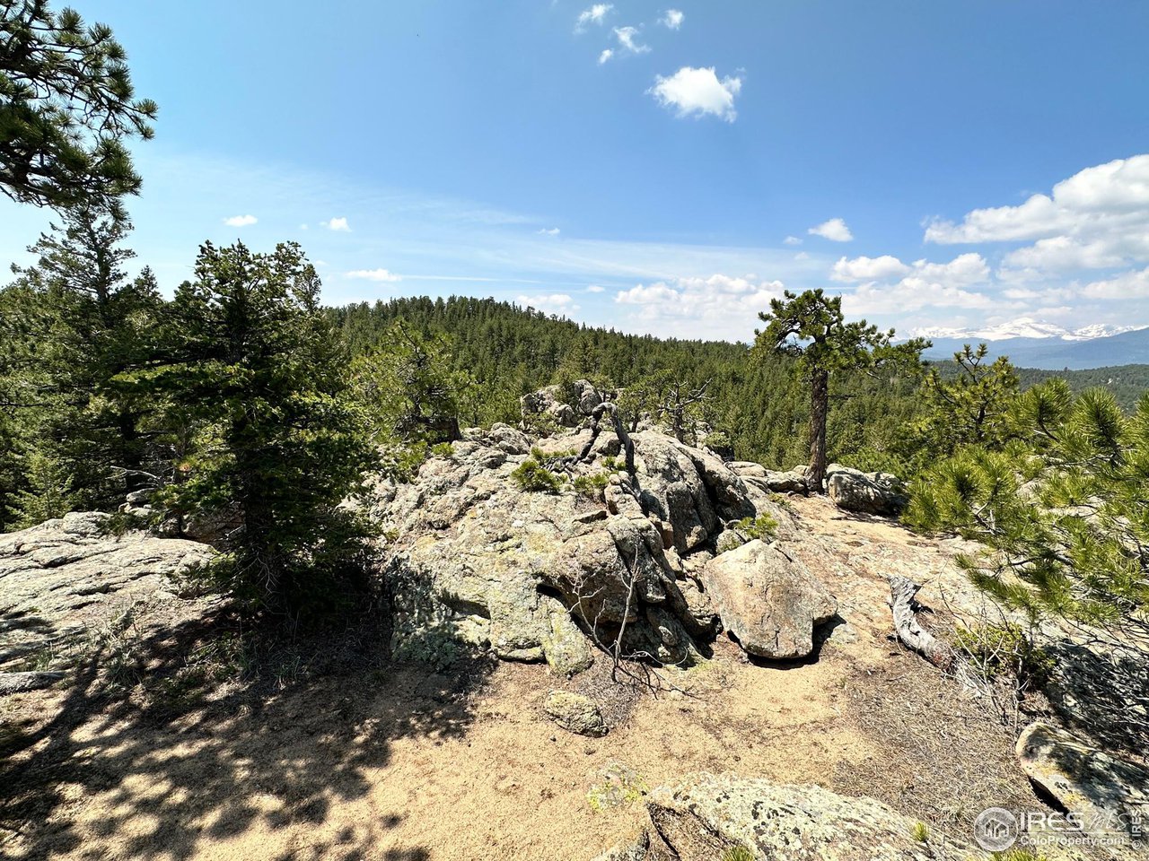 3957 Conifer Hill Road Lyons, CO 80540 - Photo 10 of 12 High point on the property