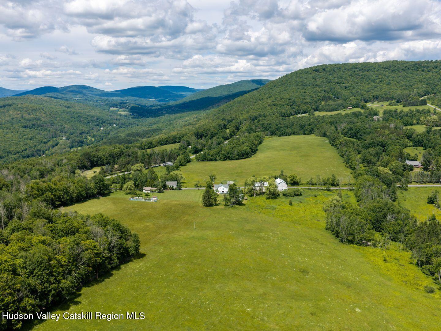 890 Hogg Mountain Road Fleischmanns, NY 12430 - Photo 35 of 41 36