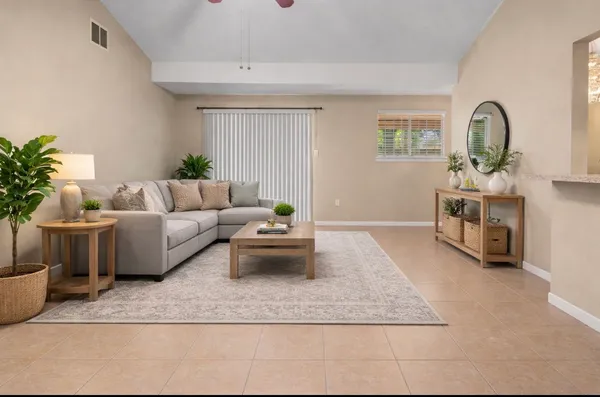 a living room with furniture and a potted plant