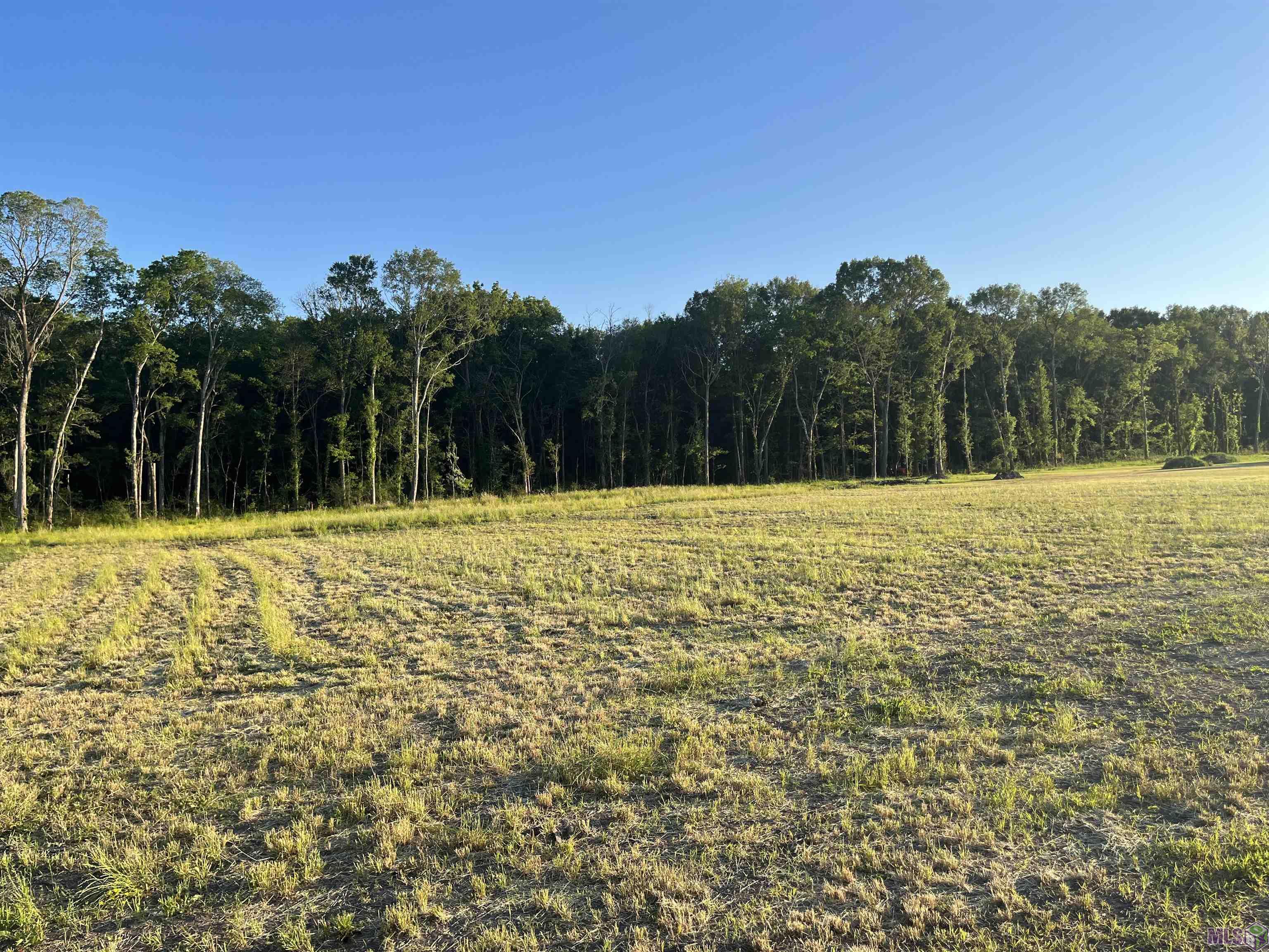 Tbd Choctaw Road Brusly, LA 70719 - Photo 1 of 7 Gallery Image 1