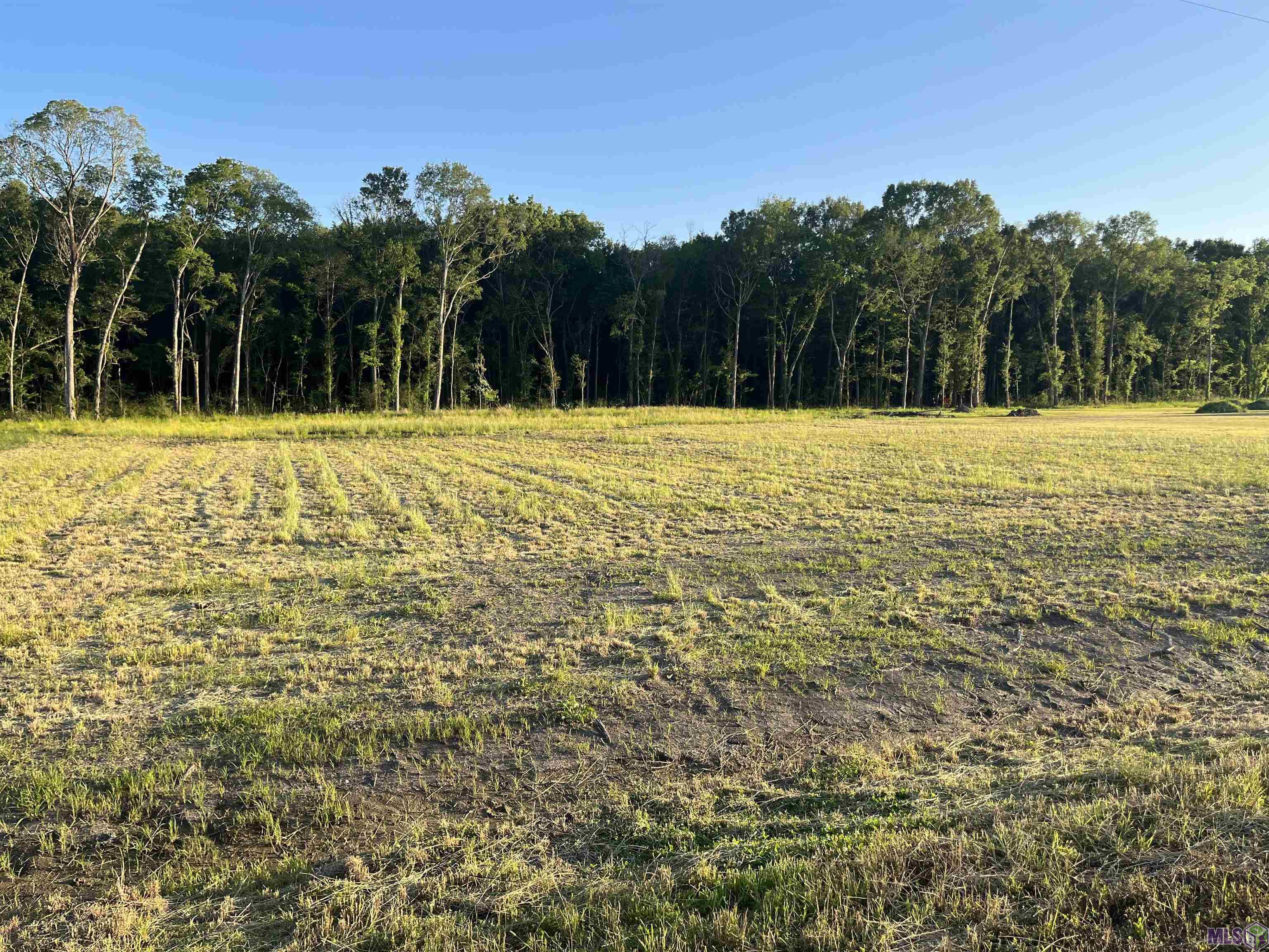Tbd Choctaw Road Brusly, LA 70719 - Photo 2 of 7 Gallery Image 2