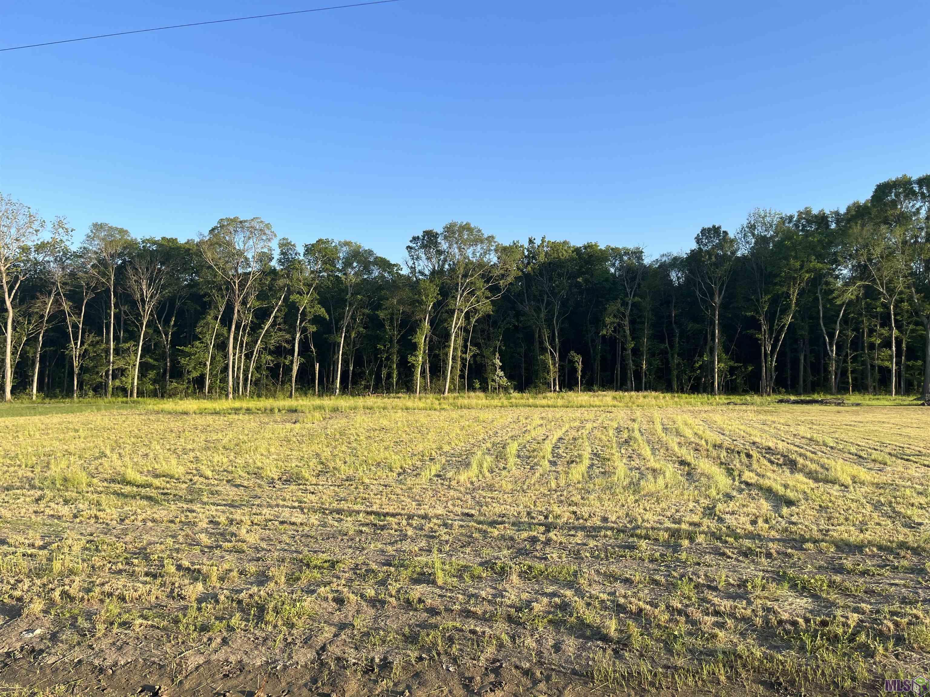 Tbd Choctaw Road Brusly, LA 70719 - Photo 3 of 7 Gallery Image 3