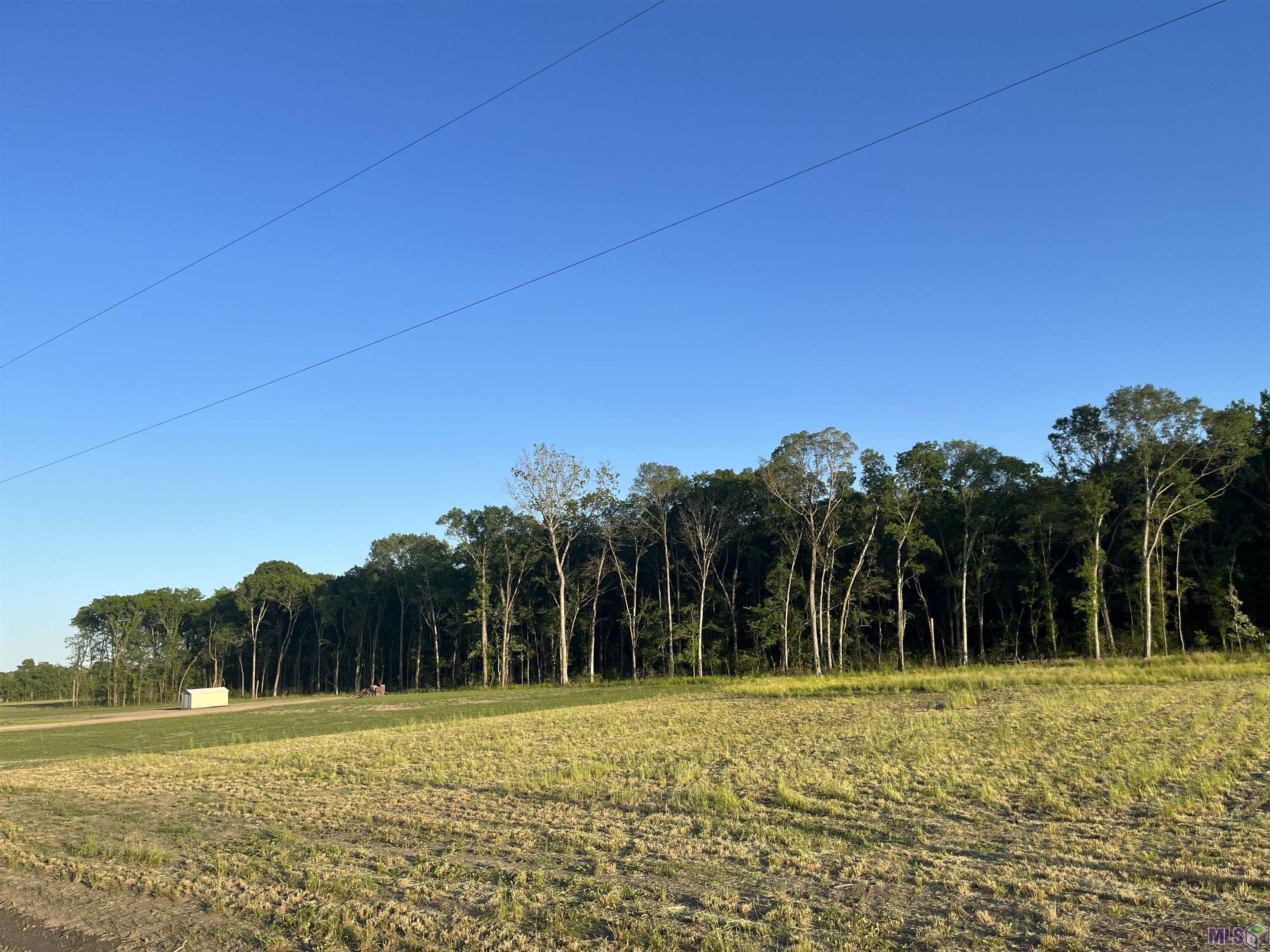 Tbd Choctaw Road Brusly, LA 70719 - Photo 4 of 7 Gallery Image 4