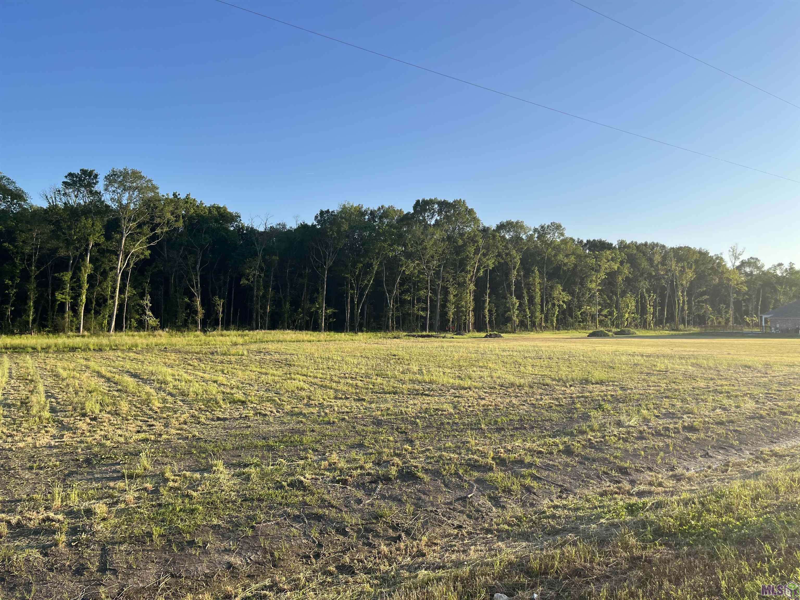 Tbd Choctaw Road Brusly, LA 70719 - Photo 5 of 7 Gallery Image 5