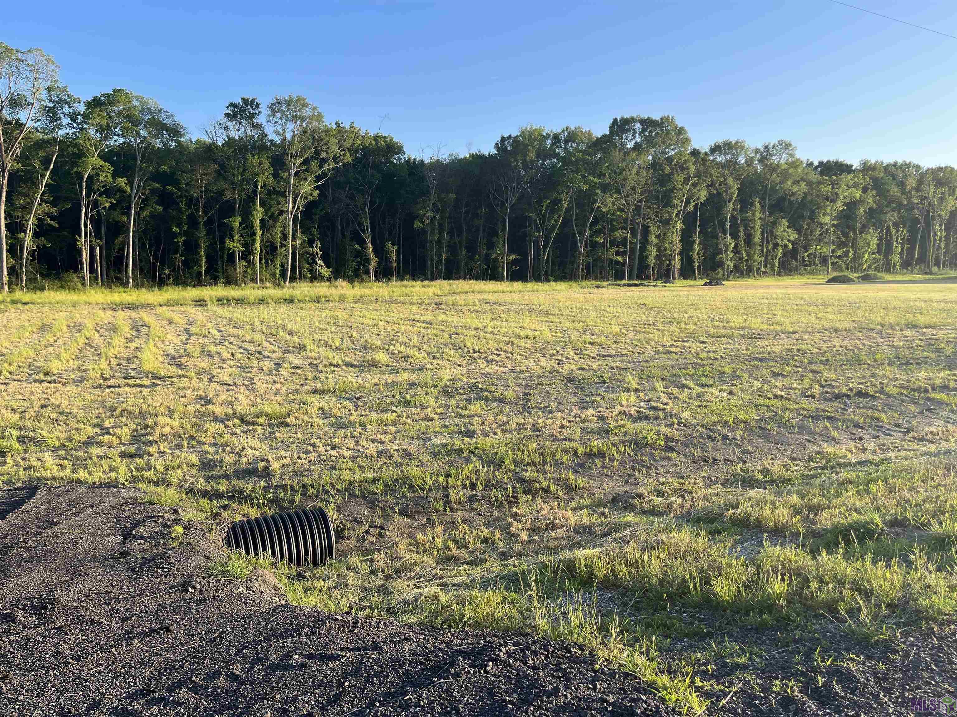 Tbd Choctaw Road Brusly, LA 70719 - Photo 6 of 7 Gallery Image 6