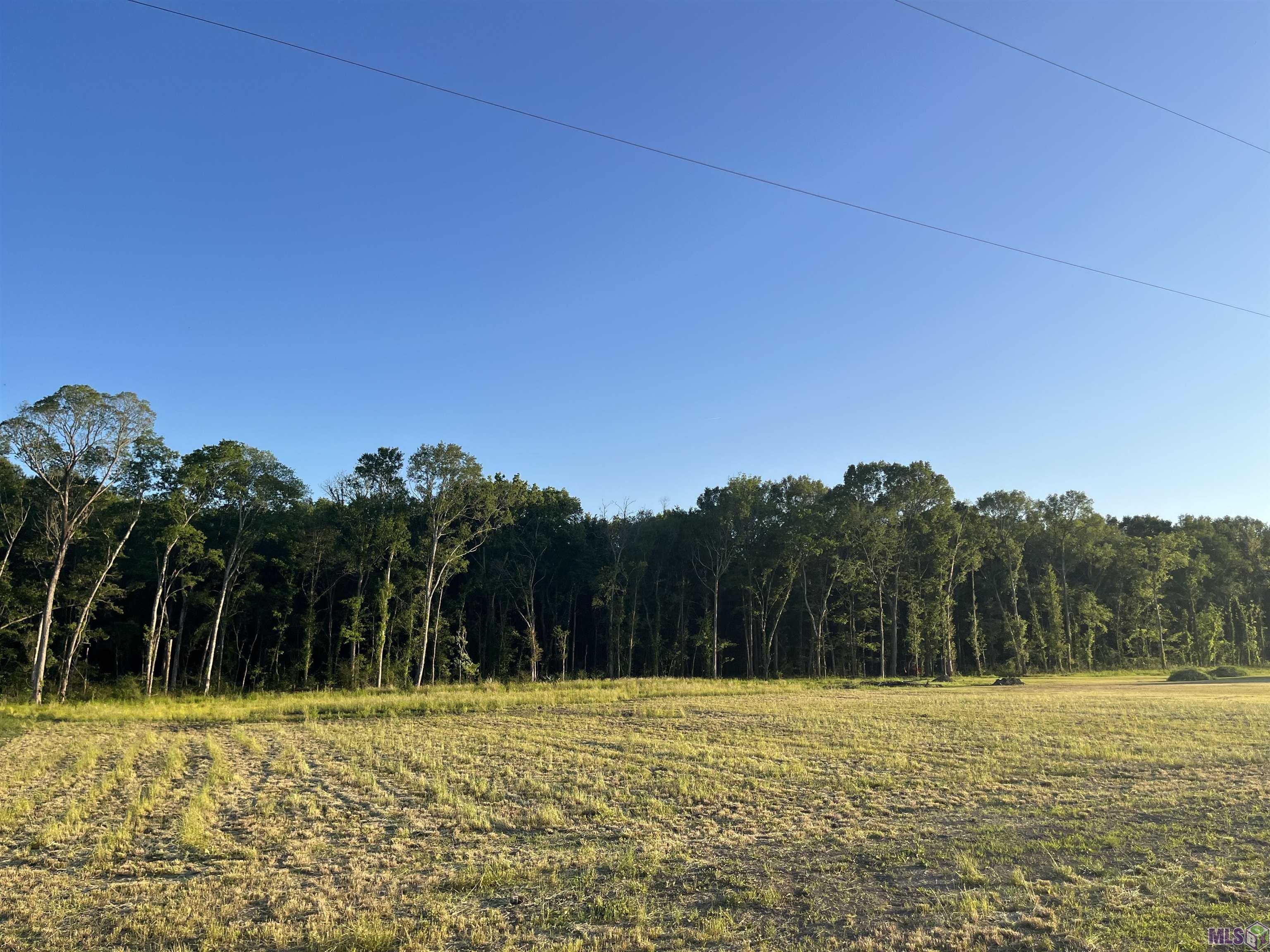 Tbd Choctaw Road Brusly, LA 70719 - Photo 7 of 7 Gallery Image 7