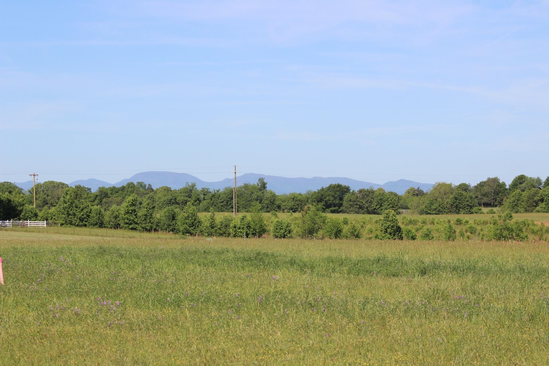 Lot 4 Ted Smith Road Rutherfordton, NC 28139 - Photo 11 of 28