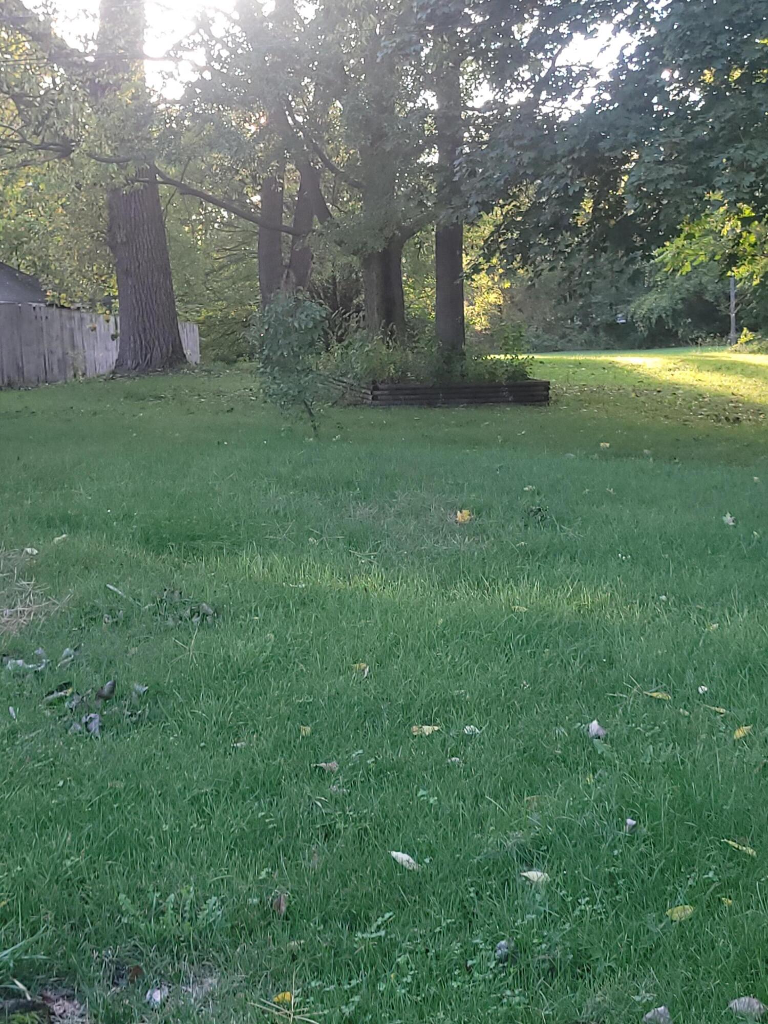 1308 Pipestone Road Benton Harbor, MI 49022 - Photo 4 of 15 Side yard
