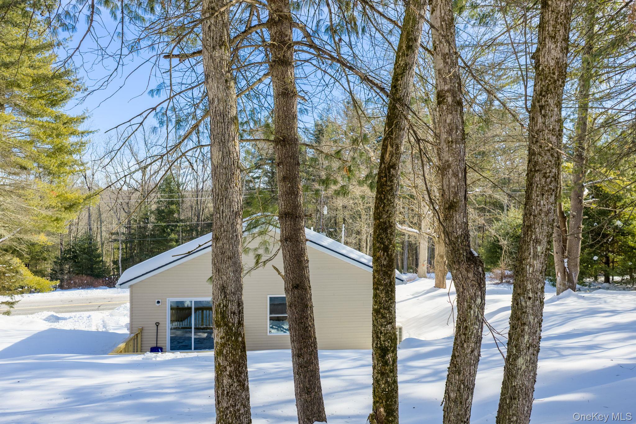 943 State Rte 55 Eldred, NY 12732 - Photo 28 of 33 a view of a road with a tree in the background