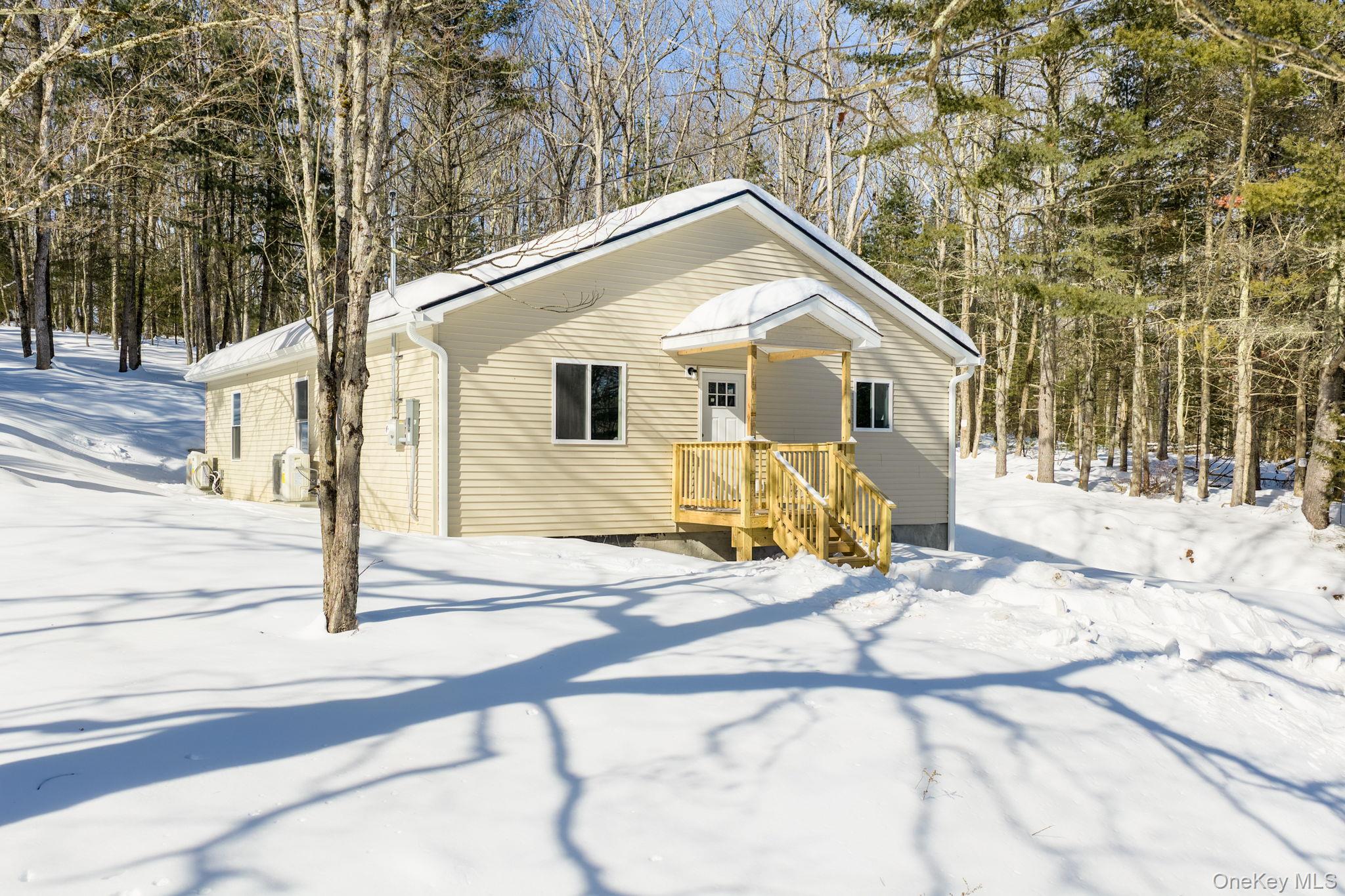 943 State Rte 55 Eldred, NY 12732 - Photo 3 of 33 a view of a house with snow on the road