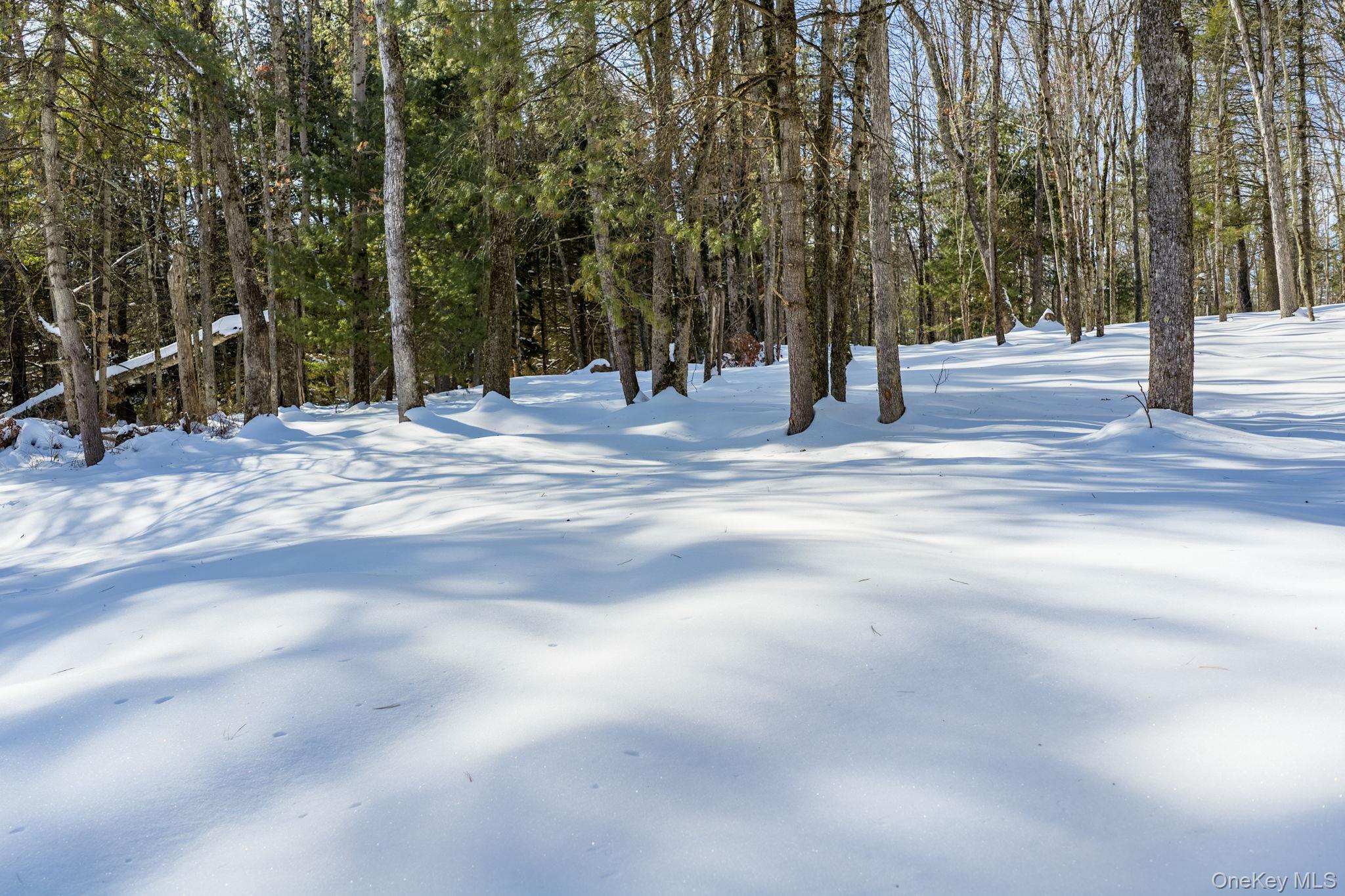 943 State Rte 55 Eldred, NY 12732 - Photo 31 of 33 a view of a park with trees