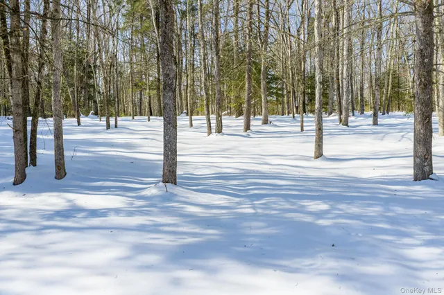 a view of a building with trees