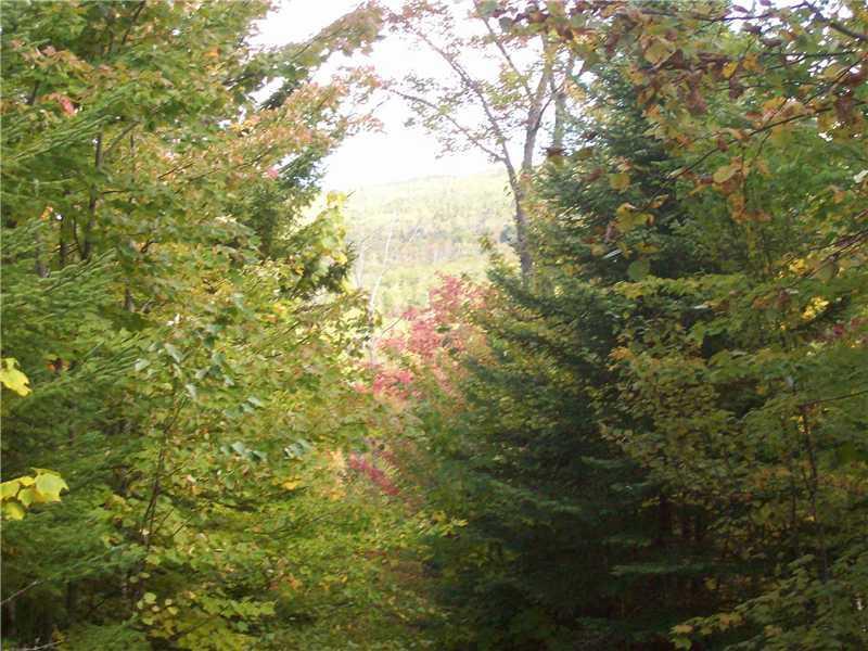 1331 Slim Hagle Road West Forks, ME 04985 - Photo 11 of 14 View.