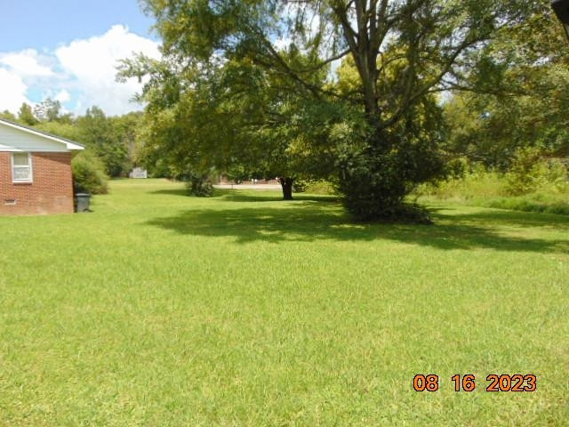 829 Beacon Road Parsons, TN 38363 - Photo 4 of 14 a view of backyard with green space