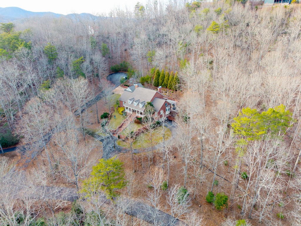 4323 Spring Court Cove Young Harris, GA 30582 - Photo 83 of 83
